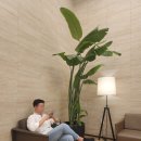 스타필드시티위례점 화장실 (지하1층) 이미지