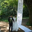 [001] 23년 6월 17일, 보넬리가든에서 가장 행복했던 결혼식 요약본 먼저 뿌릴게염^_^,,;♡♡