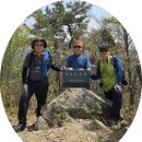 서천 문수산 &amp; 희리산 &amp; 무창포 (24.4.12) 이미지