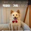 짝콩/남아/3살추정 이미지
