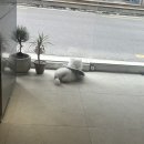 모제네일스튜디오