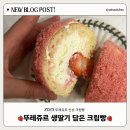 신상 푸드 | 뚜레쥬르 2025 신메뉴 “ 생딸기 담은 크림빵 ”