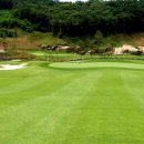 대산면920 이미지