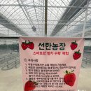 선한농장 이미지