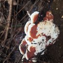 구평동-31 이미지