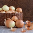 소래동물병원 이미지