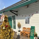 니은시옷 스테이 이미지