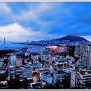 코모도호텔 Daum카페
