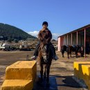 뷰 제주하늘 | 제주 아이랑 가볼만한 ATV 승마 체험 추천 뷰 제주하늘 멍에 승마장 ATV 내돈내산