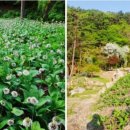 명이농장 이미지