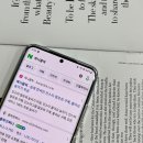 인스타 팔로워 늘리기 퍼니클릭으로 성공하는 방법