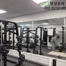 명성헬스클럽 | 주엽동거울 -스포츠센터 헬스장 벽면 친환경 대형 거울 맞춤시공후기