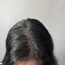 모텐셜의원 이미지