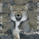 현실+상 | 대행] 본식 축의대 대행 서비스, 꼭 필요해? (응, 필요해! 신뢰도 높은 포슈 드 마리아쥬 계약후기 ✔ )