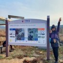 서림공원 ~ 군청 사거리 이미지