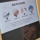 에이펙스 이엠에스 스튜디오(APEX EMS STUDIO)