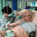 급성 동맥염(Acute Arteritis)이란? 특징, 원인, 증상, 진단, 치료 및 수술방법