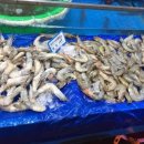 삼천수산 이미지