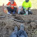 효은농장 이미지