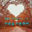이오공리본꽈샤