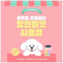 하리네집 | 대구포메라니안분양 후기 유앤미펫에서 만난 우리집 첫 가족, 하리 이야기