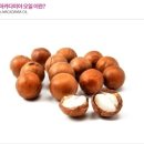 보리카클리닉 네이버블로그