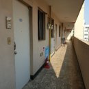 상아아파트 이미지