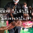 고골길116번길 | 고양시 실내낚시, 일산 실내낚시, 랍스타와 대게를 무제한으로 낚을수있는 &#34;도시바다낚시터&#34; 다녀오다 !