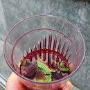 하늘궁몽블랑호텔 | 프랑스 샤모니 온천 QC Terme 꼭 가야하는 몽블랑 스파 추천 후기 (할인 예약 꿀팁)