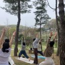 요가;바라봄