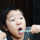 비머스 이미지