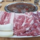 엄지흑돼지