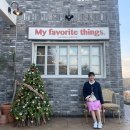 [함께여행] 해니짱의 우당탕탕 친구랑 크리스마스🎄 2박 3일 통영&amp;거제 여행(23.12. 23 ~ 12. 25)