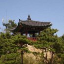 밀양호전망대 이미지