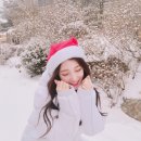 1201 이미지