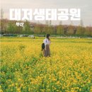 파평체육공원(야구장) | 부산 유채꽃 가볼만한 곳 봄이면 꼭 가야 하는 대저생태공원 실시간 방문후기