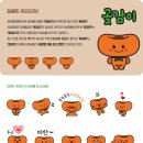 주부가요 | [공지] 2026 지리산 산청곶감축제 주부가요열창 초대가수(김용빈)·일정·프로그램·캐릭터·주차 총정리