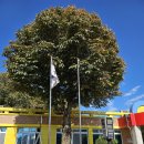 보산원2길 이미지