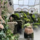 하서로523번길 이미지