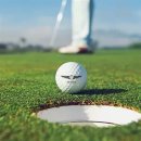 골프(Golf)와 볼프(Bolf) 이미지