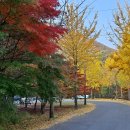 계림마을 이미지