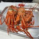 미스터대게 | 강원도 강릉 홍게 무한리필 맛집 미스터홍게 솔직후기 (주차가능)
