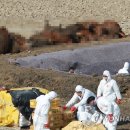 김정남농장 이미지