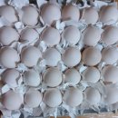 여름농장 이미지