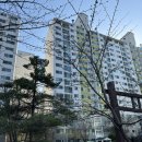 모담산 유아숲체험원 이미지