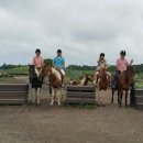 오케이승마목장 이미지