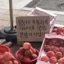 가보 이미지