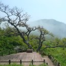 외연도6 이미지