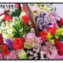 조은꽃식물원 이미지