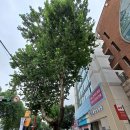 사과나무한방병원 이미지